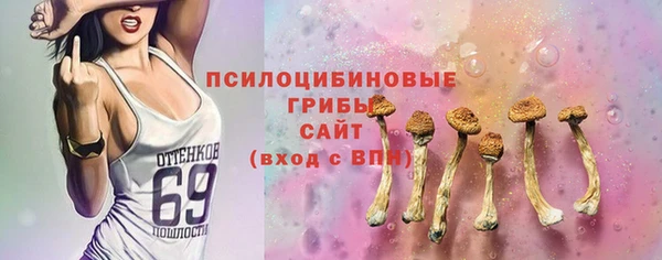 эйфоретик Гусиноозёрск