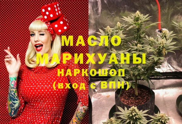 скорость Гусев