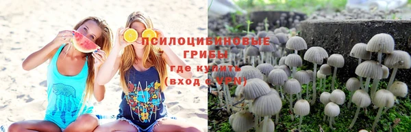 бошки Горняк